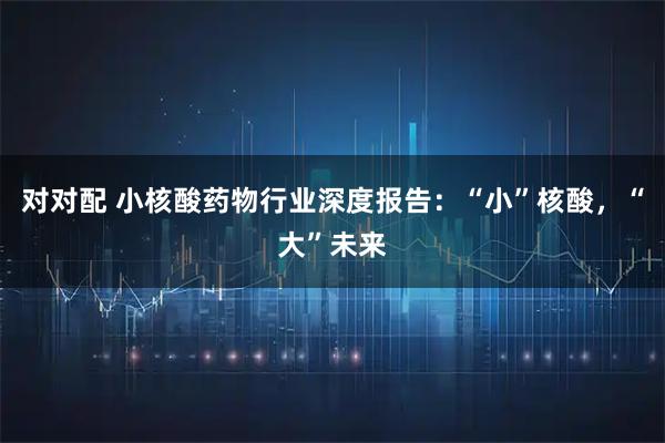 对对配 小核酸药物行业深度报告:“小”核酸,“大”未来