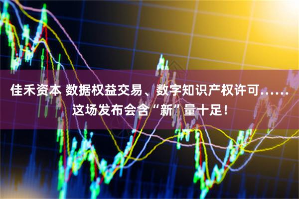 佳禾资本 数据权益交易、数字知识产权许可……这场发布会含“新”量十足!