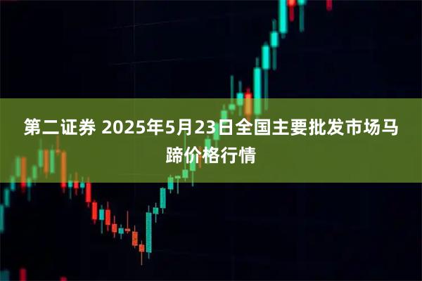 第二证券 2025年5月23日全国主要批发市场马蹄价格行情