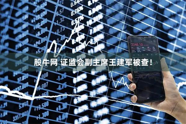 股牛网 证监会副主席王建军被查！