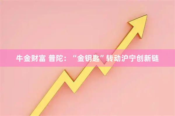 牛金财富 普陀：“金钥匙”转动沪宁创新链